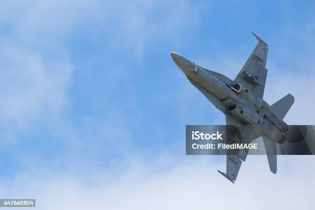 Raaf A21 Mcdonnell Douglasboeing Fa18a Hornet Stock Photo - Download Image Now - Royal Australian Air Force, Hornet, Airplane