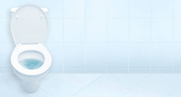 istock Toilet in the bathroom. 647661216