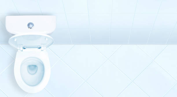Toilet in the bathroom.