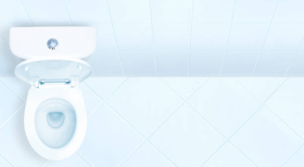 Toilet in the bathroom. Toilet in the bathroom. toilet photos stock pictures, royalty-free photos & images