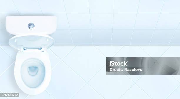 Toilet In The Bathroom Stock Photo - Download Image Now - Toilet, Public Restroom, Clean