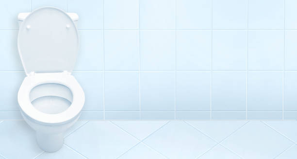 istock Toilet in the bathroom. 647661278