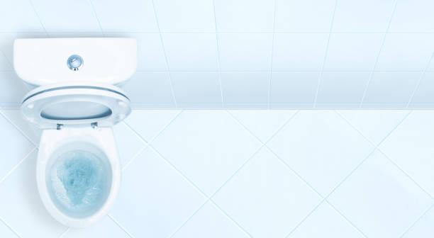 istock Toilet in the bathroom. 647661318