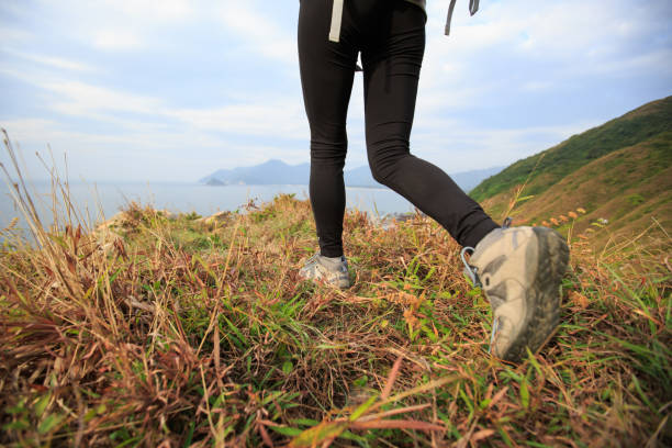 istock successful hiker hiking on seaside mountain peak 647661822