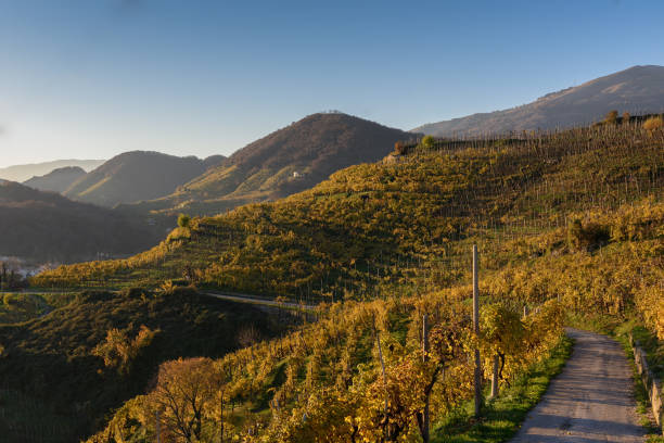 istock Farra di Soligo-vineyards in autumn 1 647664718