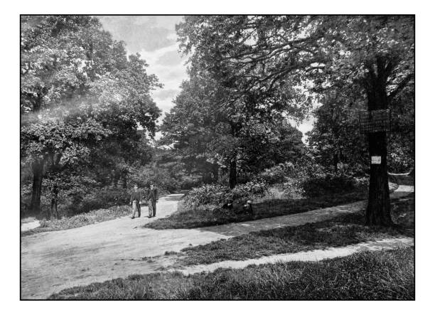 istock Antique London's photographs: Churchyard Bottom Wood 647664734
