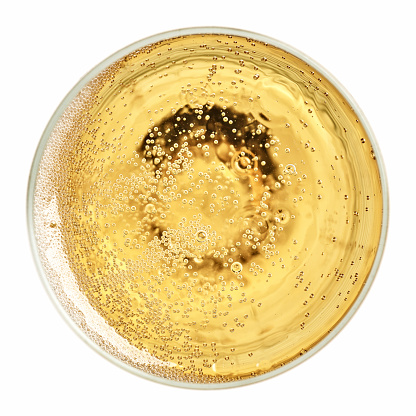 glass of champagne isolated on white background, top view