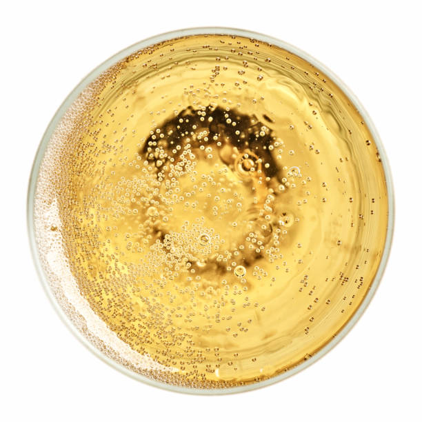 glass of champagne glass of champagne isolated on white background, top view carbonated photos stock pictures, royalty-free photos & images