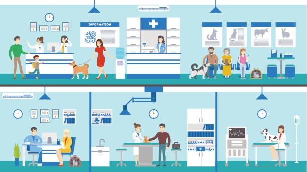 ilustrações de stock, clip art, desenhos animados e ícones de vet clinic set interior. - clínica veterinária