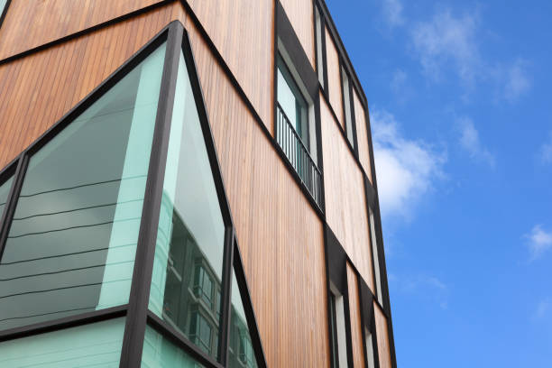 istock Wood facade on modern apartment house 647673180