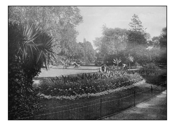 istock Antique London's photographs: Sub-Tropical Gardens, Battersea Park 647675930