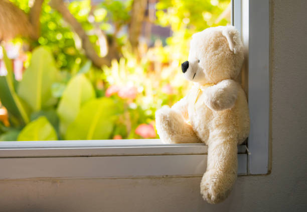 istock white Teddy Bear  sitting alone on white window,vintage style 647676334