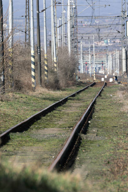 istock Railway Station with trains and tracks 647676760