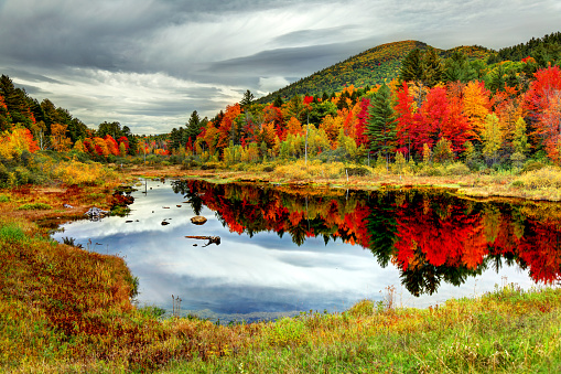 Red Creek river flowing water above view in Dolly Sods, West Virginia with colorful autumn fall leaf colors tree foliage at Canaan valley Appalachian mountains