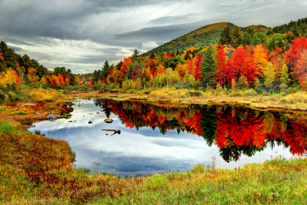 Autumn foliage in the White Mountains of New Hampshire Peak fall foliage in the White Mountains Region of New Hampshire pond photos stock pictures, royalty-free photos & images