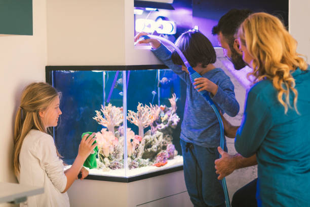 istock Family cleaning reef tank 647685020