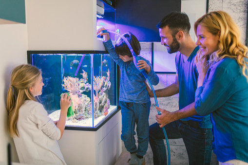 Family cleaning reef tank.
