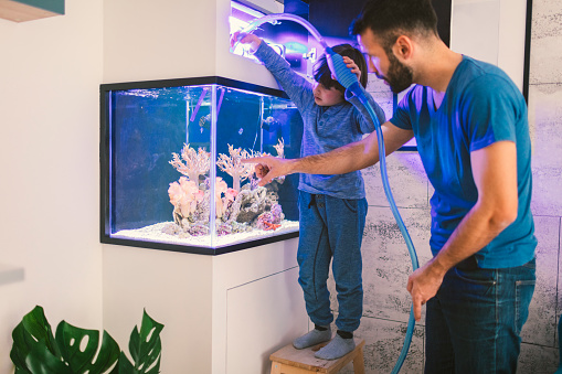 Family cleaning reef tank. Father standing next to reef tank and helping son with hose