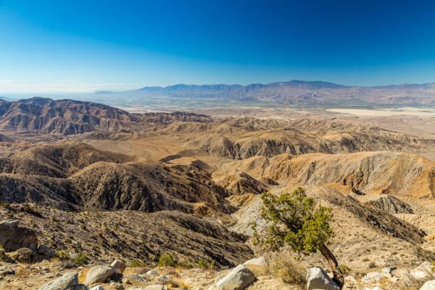 istock Joshua Tree National Park 647687692