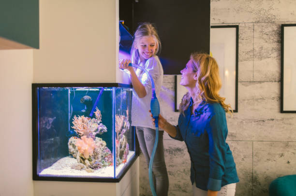 istock Family cleaning reef tank 647687888