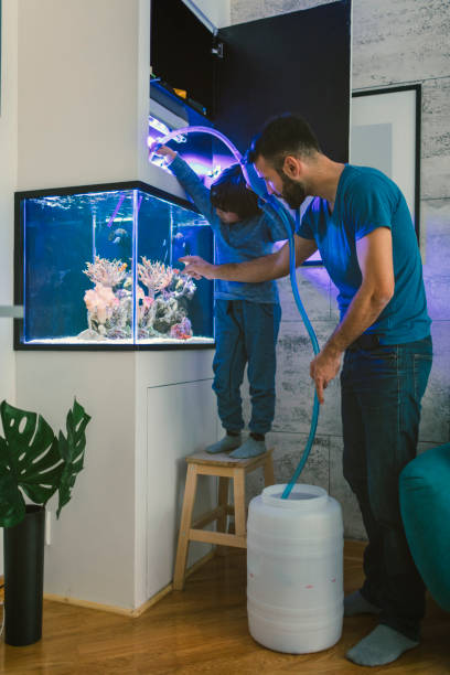 istock Family cleaning reef tank 647687956