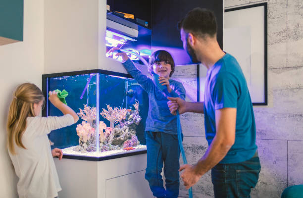 istock Family cleaning reef tank 647691170