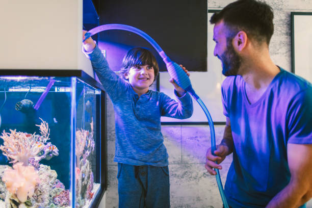 istock Family cleaning reef tank 647691208