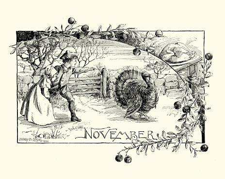 Vintage engraving of a Victorian Thanksgiving Turkey
