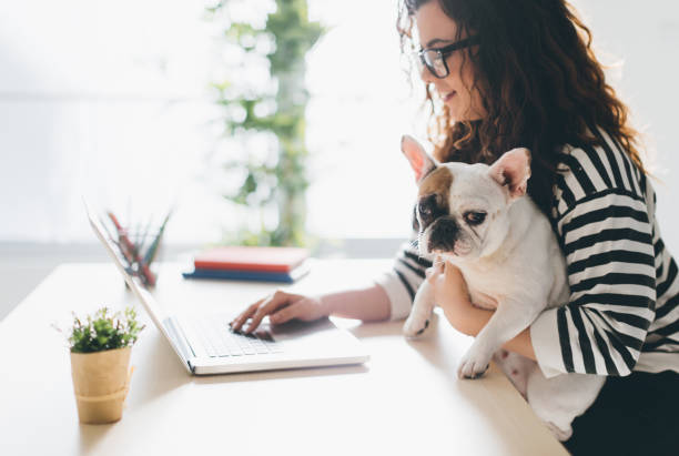 istock I'm not under stress when this cutie is here! 647699946