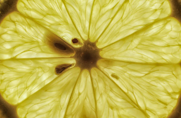 種とレモン スライスの透明テクスチャを背景を閉じる - lemon textured peel portion ストックフォトと画像