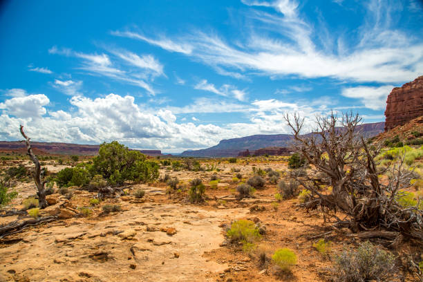 istock Jacob's Chair at Fry Canyon 647714950