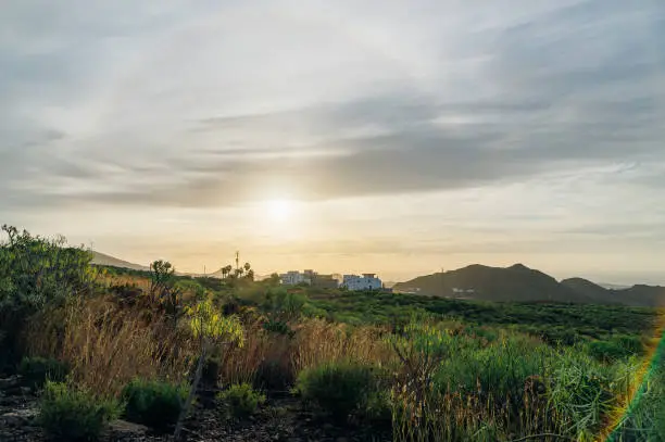 Photo of Rural landscape of Tenerife against morning sun with halo effect