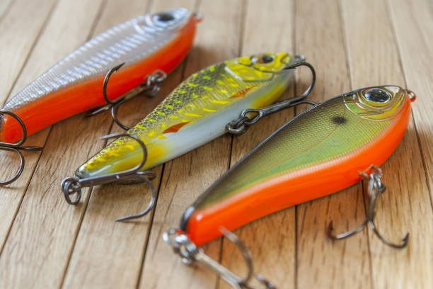 istock Lures for pike fishing on a wooden table 647725534