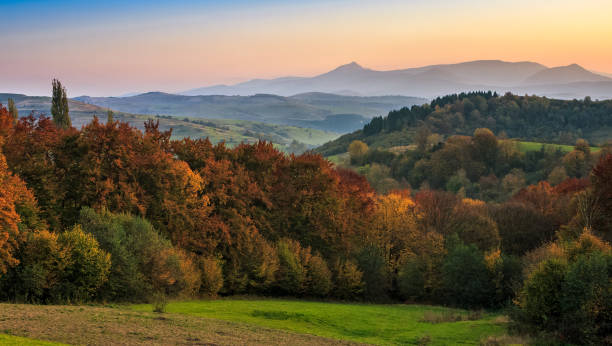 istock sunset over autumn forest in hazy mountains 647734622