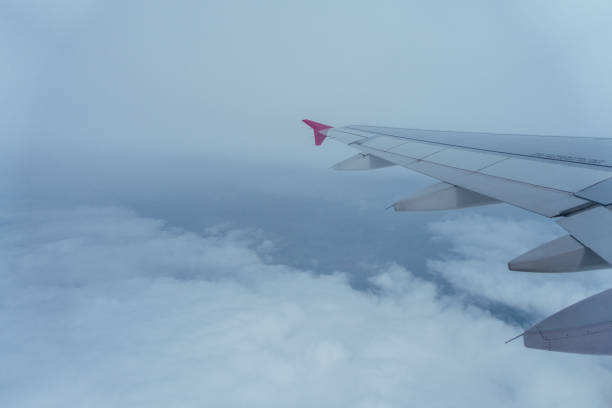 istock Wing of an airplane 647734850