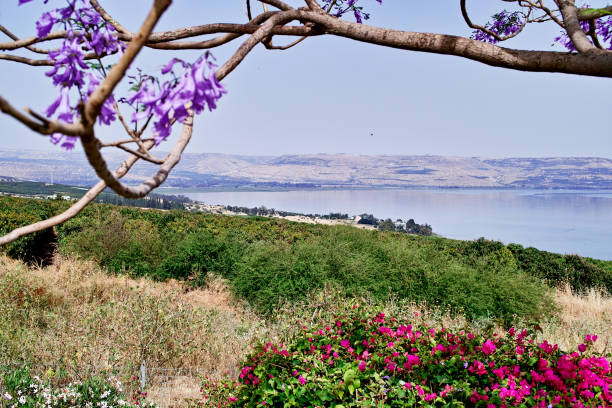 istock Sea of Galilee 647735440