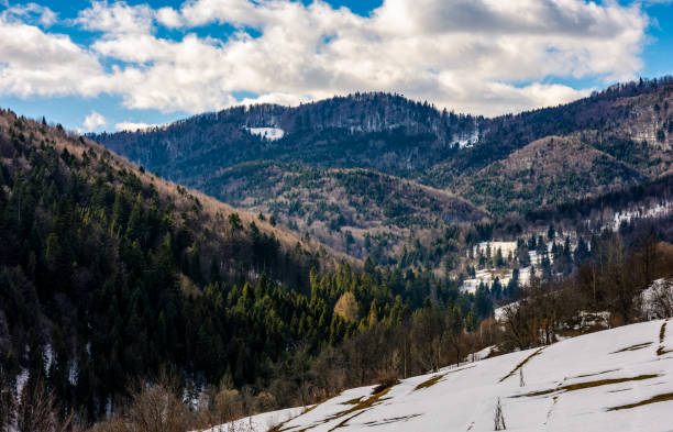 istock last days of winter in mountain landscape 647735508