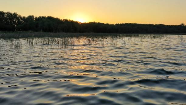 istock Lake Champlain, NY, Mountain, Sky, Weeds in Rippled Water, Sunrise 647736812