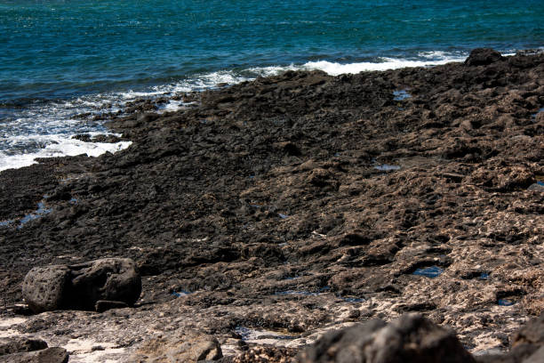 istock Volcanic rocks by the ocean 647739176
