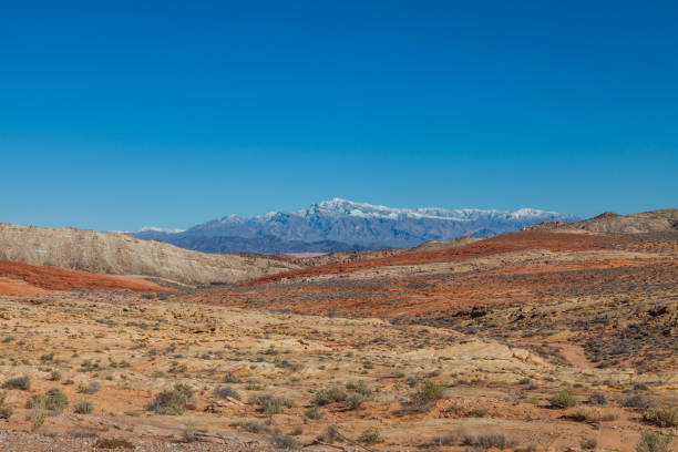istock Scenic Valley of Fire State Park Nevada 647739988