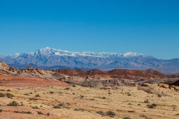 istock Scenic Valley of Fire State Park Nevada 647740096