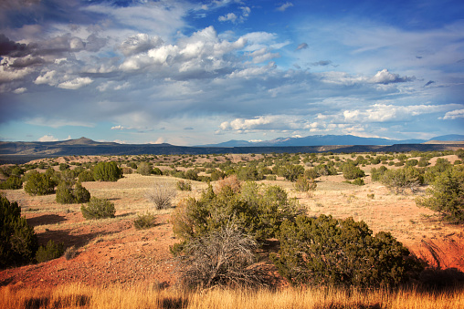 Ridgway State Park , Ridgway, Colorado panorama. Sky, mesa and meadow.