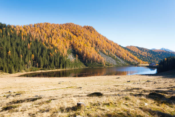 istock Reflections on water, autumn panorama from mountain lake 647750152