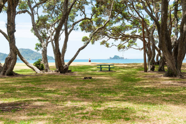 istock green picnic table and swing under trees by beach 647760738