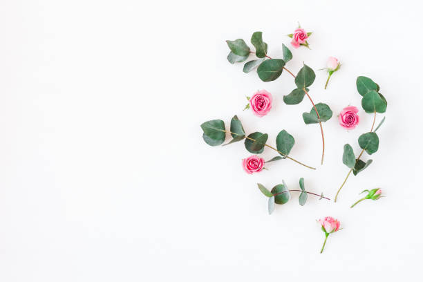 istock Flowers composition made of rose flowers and eucalyptus branches 647768652