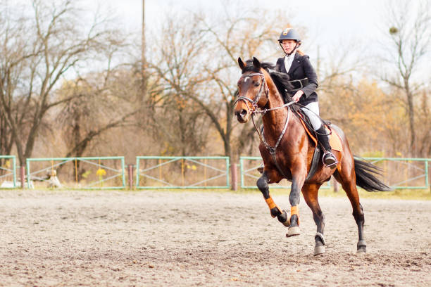 mädchen junge reiter auf pferd im trab auf springreiten - horse show jumping jumping performance stock-fotos und bilder