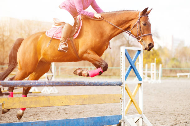 pferd mit reiter mädchen auf springturnier - horse show jumping jumping performance stock-fotos und bilder