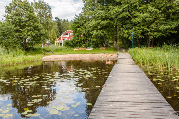 istock summer lake shore with house, dock and beach 647776198