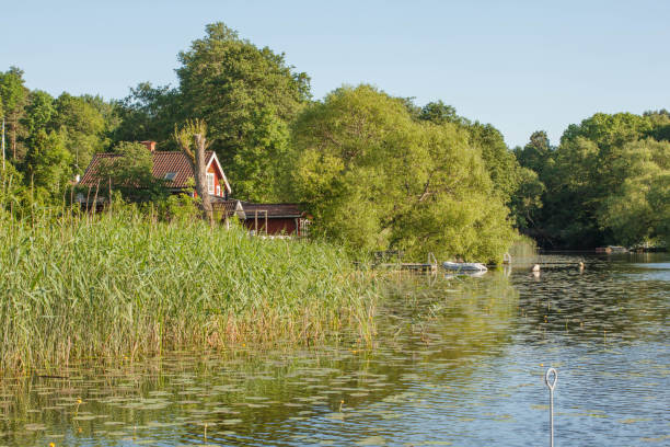 istock summer house on the lake shore 647776246