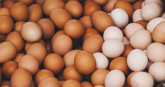 Background of fresh different colors of organic eggs in basket